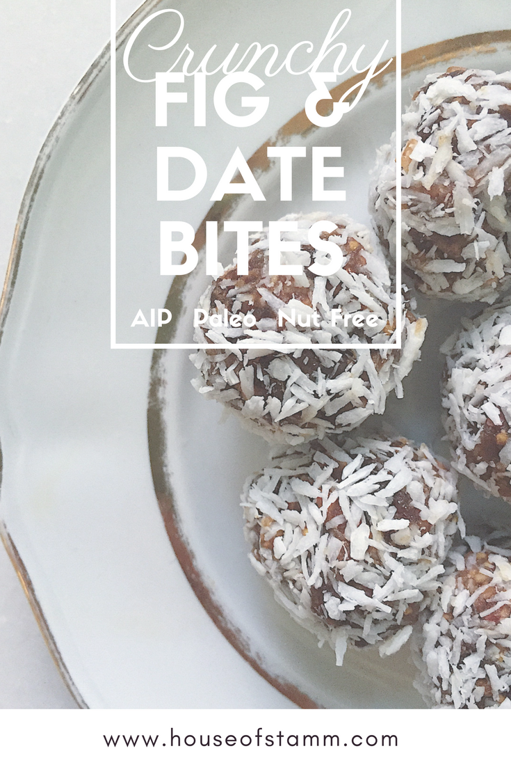 Fig & Date Bites - House of Stamm